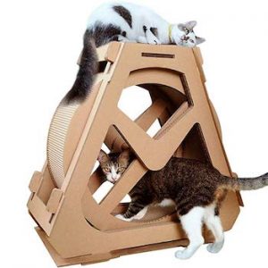 cat exercise wheels