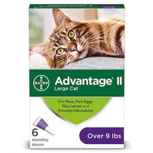 the best flea medicine for cats