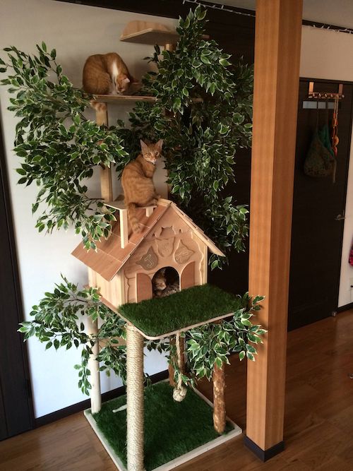 10 Diy Cat Tree Plans To Make A Cat Tree Free Cat Loves Best