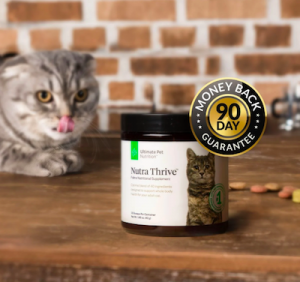 Nutra Thrive For Cats Reviews: Our Verdict