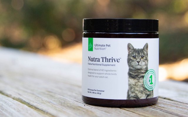 nutra thrive dog supplement