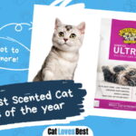 Best Scented Cat Litters