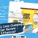 Purina Tidy Cats Clumping Cat Litter