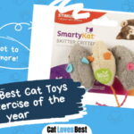 Best Cat Toys for Exercise