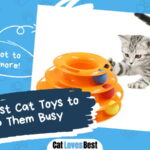 Best Cat Toys to Keep Them Busy