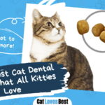 Best Cat Dental Treats