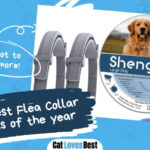 Best Flea Collar for Cats