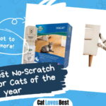 Best No-Scratch Spray for Cats