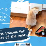 Best Vacuum for Cat Litter