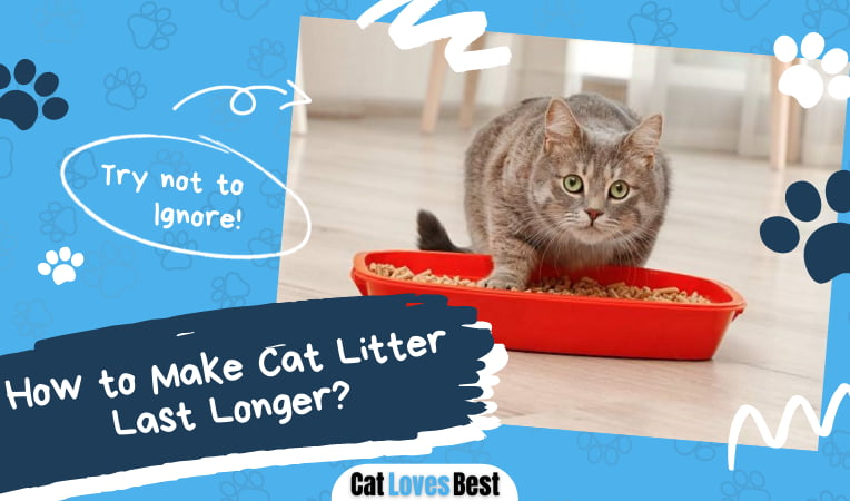 Make Cat Litter Last Longer