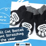 Best Cat Booties