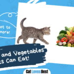 Fruits and Vegetables Cats Can Eat