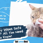 Baby Wipes Safe for Cats