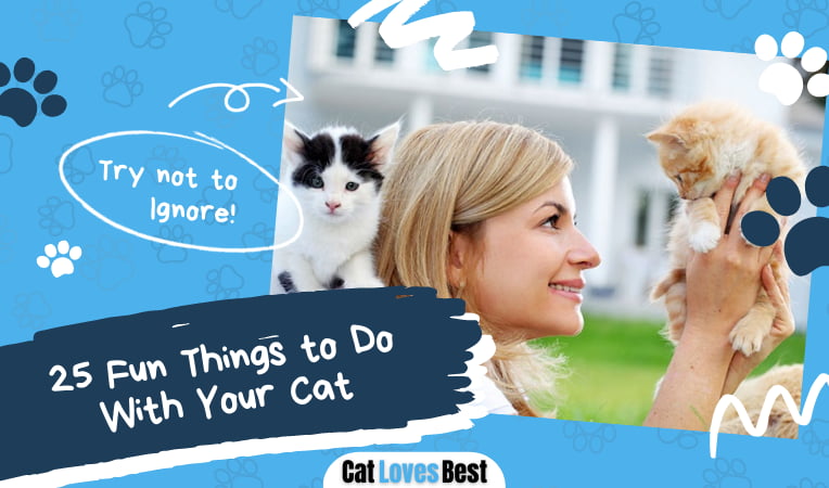 Fun Things to Do With Your Cat