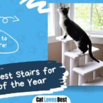 11 best stair steps for cats of the year