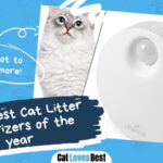 Best Cat Litter Deodorizers