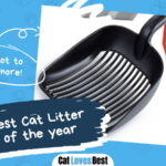 Best Cat Litter Scoops