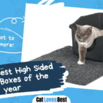 Best High Sided Litter Boxes