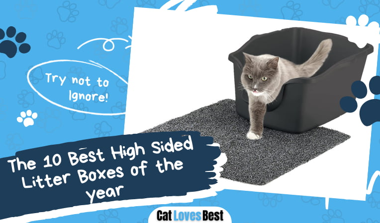 Best High Sided Litter Boxes