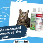 Best Medicated Cat Shampoos