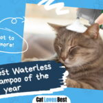 Best Waterless Cat Shampoo