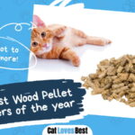 Best Wood Pellet Cat Litters