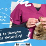 Deworming Cats Naturally