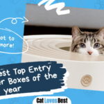 Top Entry Cat Litter Box