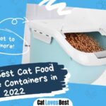 the best cat food containers