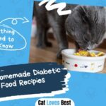 5 Easy Homemade Diabetic Cat Food Recipies