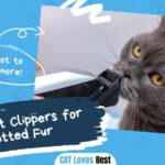 Best Cat Clippers for Matted Fur