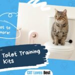 Best Cat Toilet Training Kits