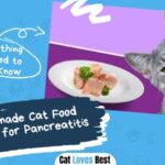 Homemade Cat Food Recipes for Pancreatitis