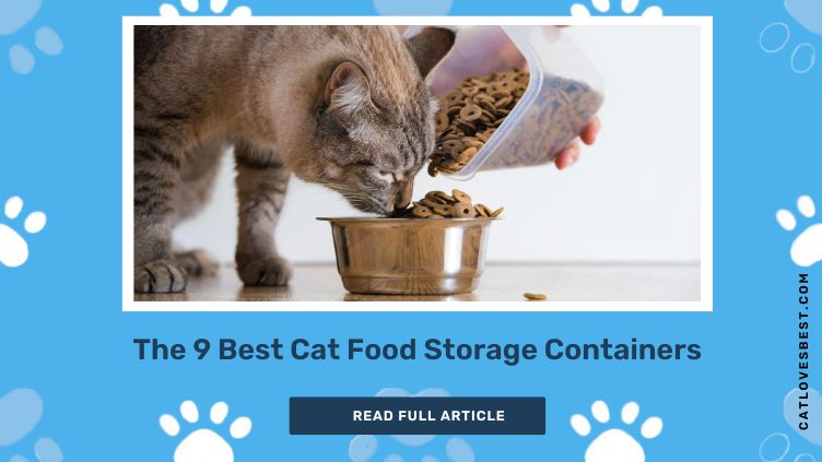 The 9 Best Cat Food Storage Containers